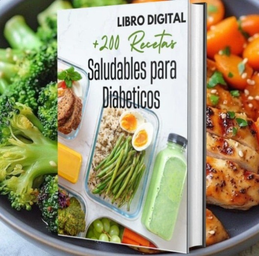 Libro Digital